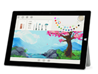 西畴Surface 无法开启、Windows 无法启动或电池无法充电